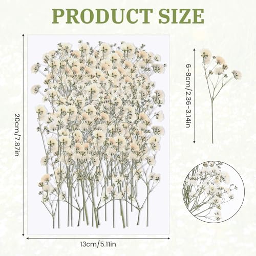 Flor seca artificial Babys Breath blanco x100 unidades miniatura 2