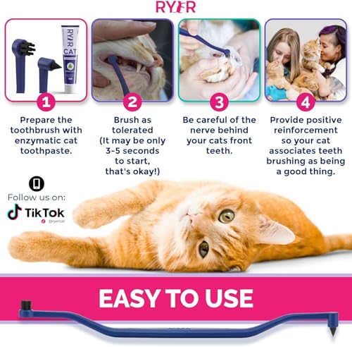 RYERCAT-Set-of-Dual-Sided-Cat-Toothbrushes-Kitten-Toothbrush-with-Micro-Head-to-fit-into-Kittens-Mouth-Cat-Dental-Care-Supplies-Pet-Toothbrush-for-Cats-Lavender-Flamingo-Amethyst-Ocean-Space RYERCAT Set of Dual Sided Cat Toothbrushes Kitten Toothbrush with Micro Head to fit into Kittens Mouth Cat Dental Care Supplies Pet Toothbrush for Cats Lavender Flamingo Amethyst Ocean Space