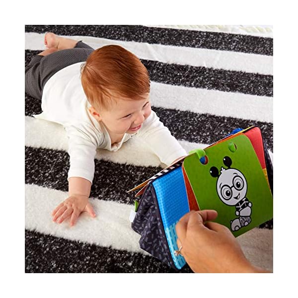 Baby Einstein, Flip For Art, Spiegel und Karten mit starken Kontrasten, perfekt zum Spielen in der Bauchlage oder für… – Bild 10