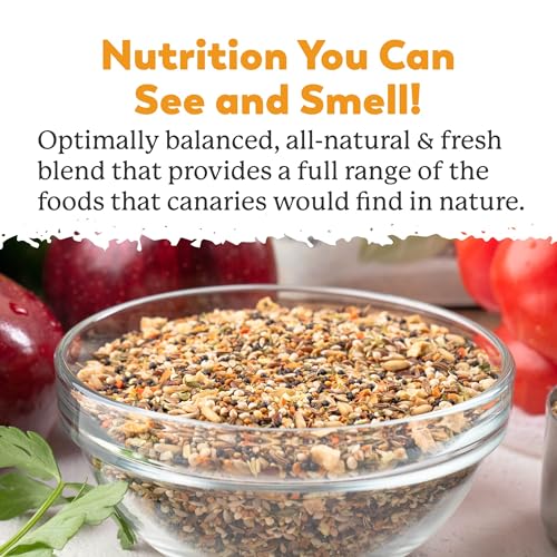 Dr. Harvey'S DRH_CANARY_4 Incredible Canary Blend, Natural Food thumb #3