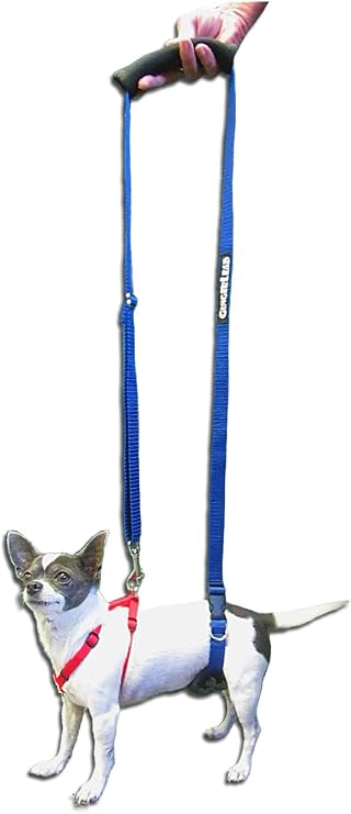 GingerLead Dog Back Support IVDD Sling Harness, X-Small & Male Dachshunds