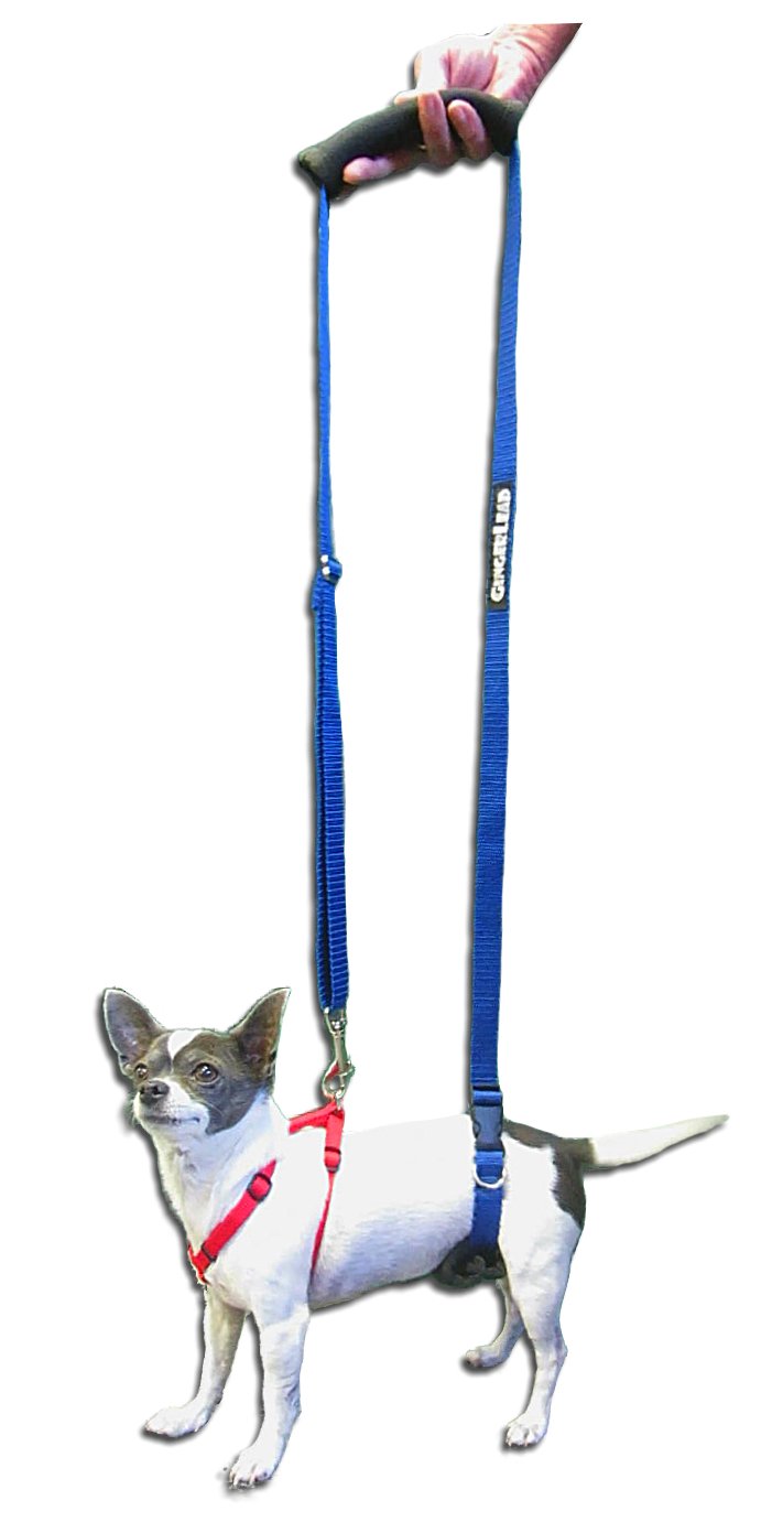 GINGERLEAD Dog Support Sling Harness