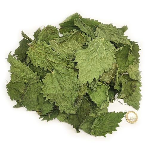 Premium Brennnesselblätter ganz 10g - Brennessel Laub für Aquarium & Terrarium  Garnelen, Schnecken, Krebse, Welse | 3 in 1 = Futter, Versteck & Wasseraufbereitung