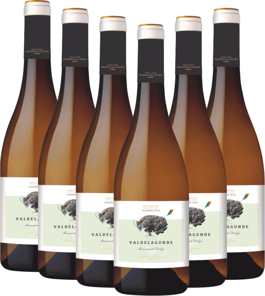 Valdelagunde Cuvée Especial Verdejo Pedro Escudero Weißwein 6 x 0,75l VINELLO - 6 x Weinpaket inkl. kostenlosem VINELLO.weinausgießer