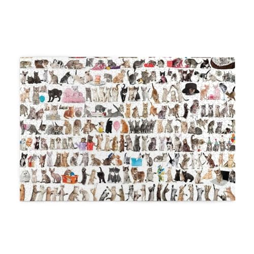 L̐E120L ؐWO\[pY 1000pcs bNX lqꏏɊyޒmQ[ ]g`W Ǌ| av[g