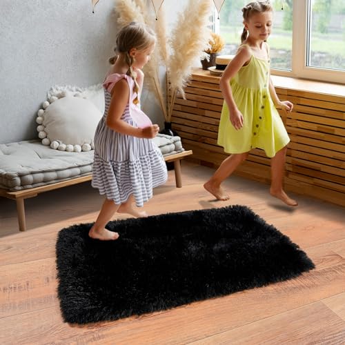 Dssimo Super Fluffy Area Rug for Bedroom, Modern Shag Black Small Throw Rugs, Soft and Cozy Plush Carpet for Kids,Girls Boys and Teens Decorations for Living Room Dorm Nursery Classroom, 2x3 Feet