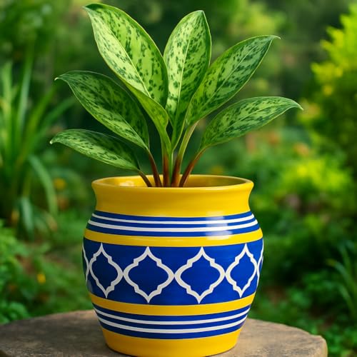 Image of Niyara Stylish Ceramic Pots Planters for Indoor Plants,Succulent,Outdoor,Balcony,Home,Garden,Office Size - 7 inches & 5 inches (Moroccan Yellow & Blue Set of 2)