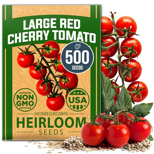 HOME GROWN Large Red Cherry Tomato Seeds Pack 500 High Germination Heirloom Seeds Vegetable Seeds for Garden,Homestead & Self-Sufficient Growing(Solanum lycopersicum)