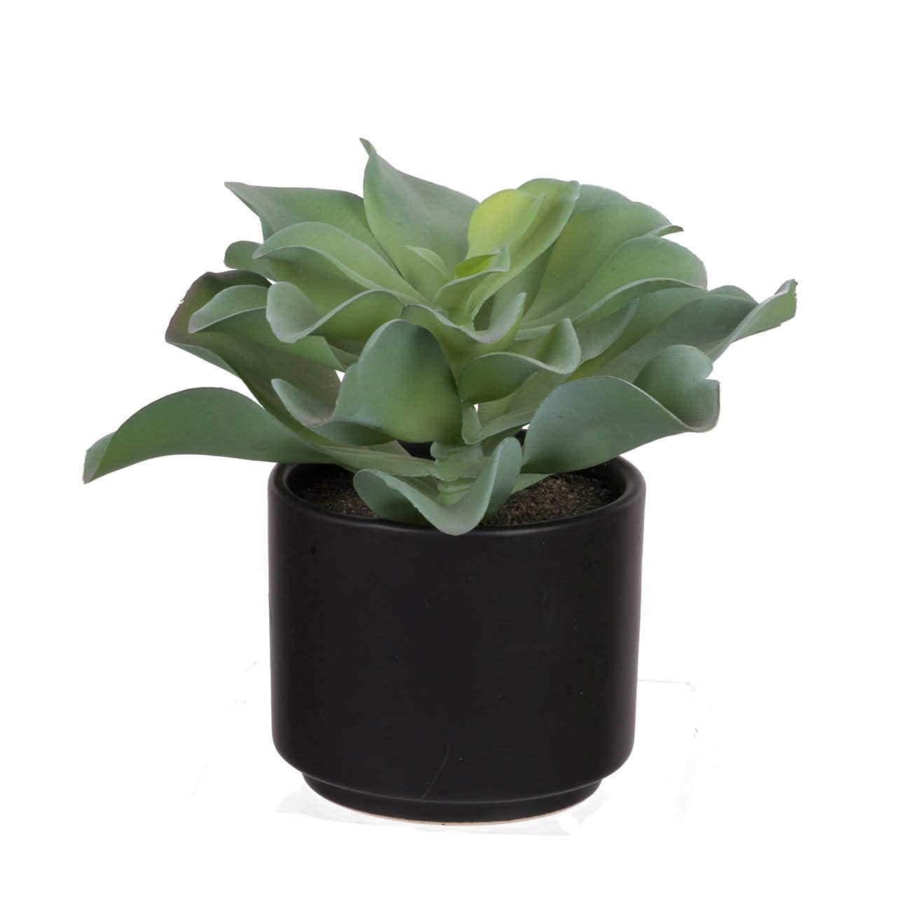 A&B Home Group Set of 2 Potted Faux Succulent 7.5x7.5x6