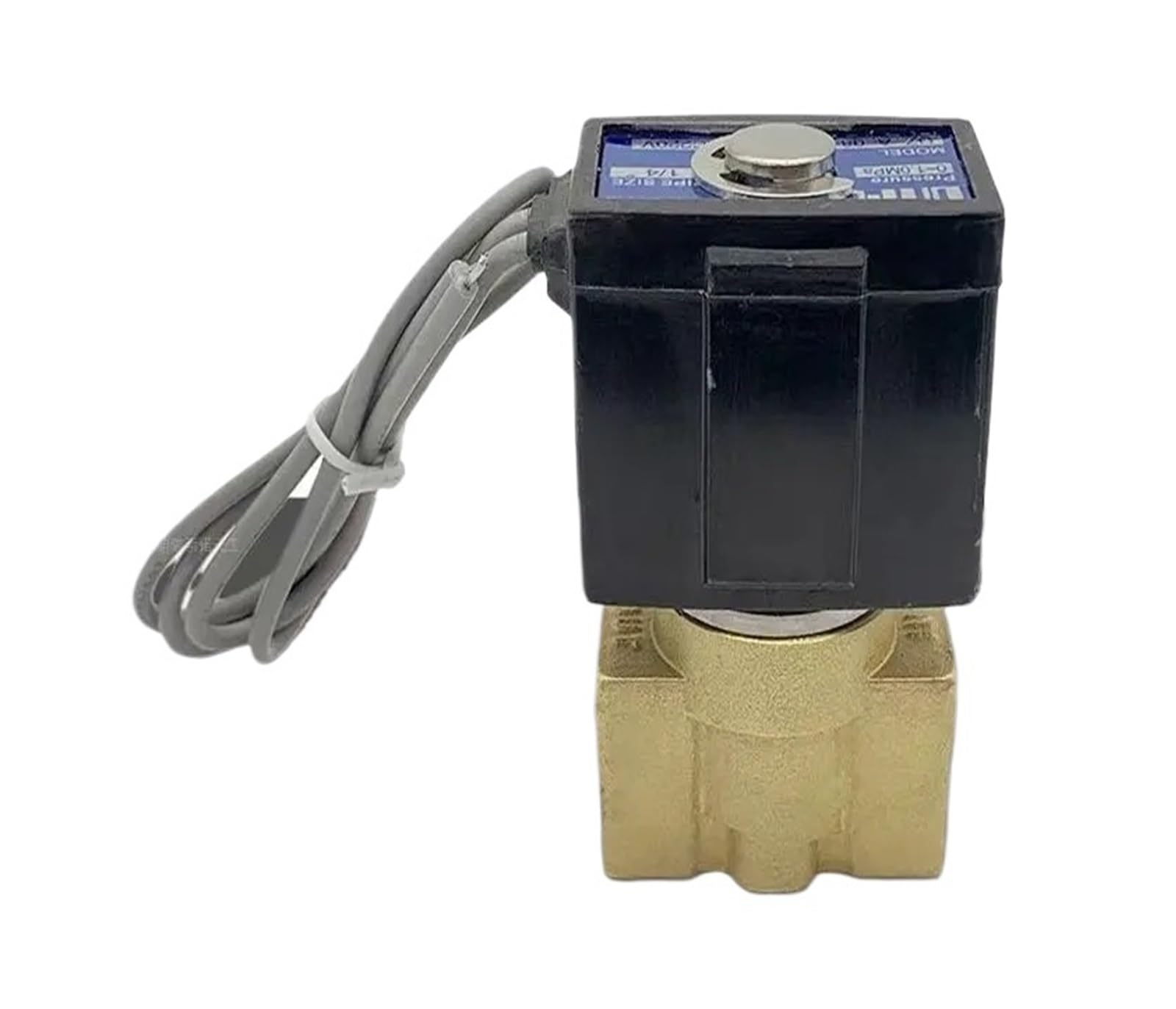 40DCB/55DCB Stage Machine Snow electromagnetic Pump Sterilization steam 220V Pumping(Solenoids)
