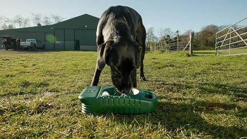 Distributeur d'eau robuste pour chiens avec gamelle portable intégrée - 4