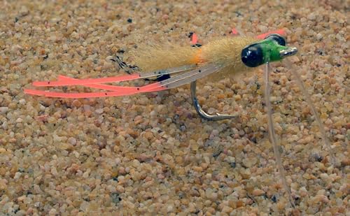 Mantis Shrimp Fly