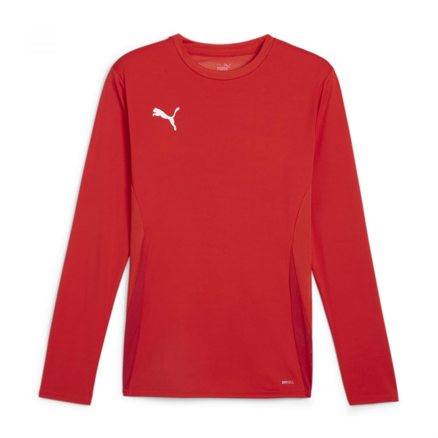 PUMA teamGOAL LS Jersey