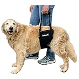 Easy Lift Dog Support Sling, Rear Hind Leg Harness for Injured & Senior Dogs, or Surgery Recovery & Rehabilitation, Padded for Comfort, Ergonomic Design, Machine Wash & Dry (Large/Extra Large)