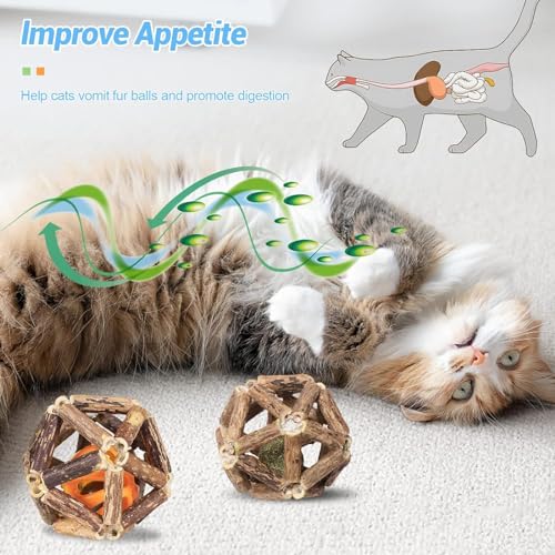 Image of cature Care by Nature Catnip Toys,Cat Toys Natural Silvervine Stick Cage Balls&Bell Ball Cat Toys For Indoor Cats,Cat Chew Toy&Kitten Cleaning Teeth Molar Tools (1Pcs)