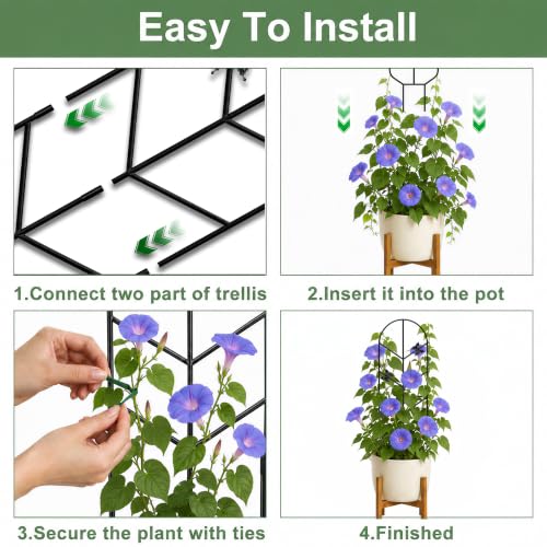 Image of Plant Trellis for Potted Plants, Trellis for Climbing Plants