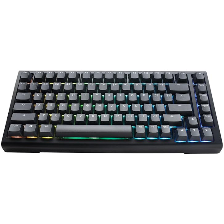 Ducky Tinker65 75% RGB Teclado Mecánico Gaming MX Speed Silver, Negro | Teclado mecánico gaming, iluminación RGB por tecla, switches MX Speed Silver, layout ES QWERTY, ideal esports y oficina