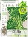 Package of 1,000 Seeds, Utah 52-70 Celery (Apium graveolens) Non-GMO Seeds By Seed Needs