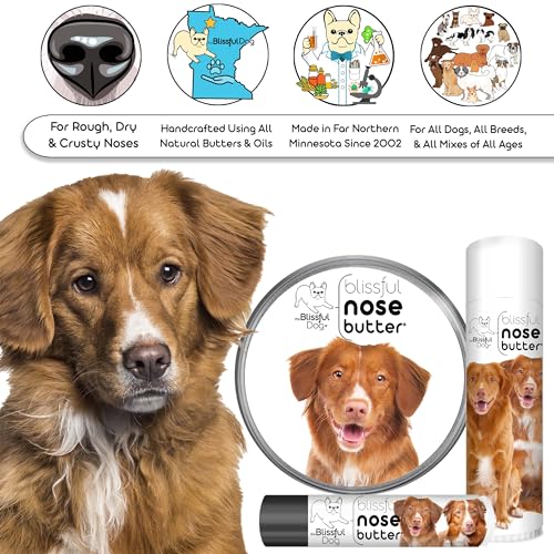Image of The Blissful Dog Nova Scotia Duck Tolling Retriever Unscented Nose Butter - Dog Nose Butter, 8 Ounce