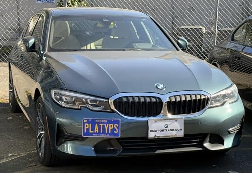 Image of CravenSpeed Platypus License Plate Mount Compatible with BMW 3 Series 2019-2022 [G20 pre-LCI] | No Drilling | Installs in Seconds | Made of Stainless Steel & Aluminum | Made in USA