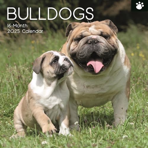 Calendario Da Parete 2025 - Bulldog - Bulldogs - Calendario In Inglese Comprende 180 Adesiv