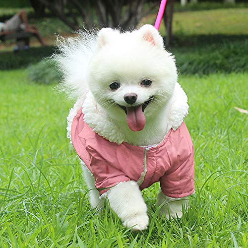 Emust Dog Winter Coat, Dog Coats For Small Dogs Winter, Winter Dog Hoodie With Pockets, Warm Dog Clothes For Small Dogs Chihuahua, French Bulldog,Pink #TOP5