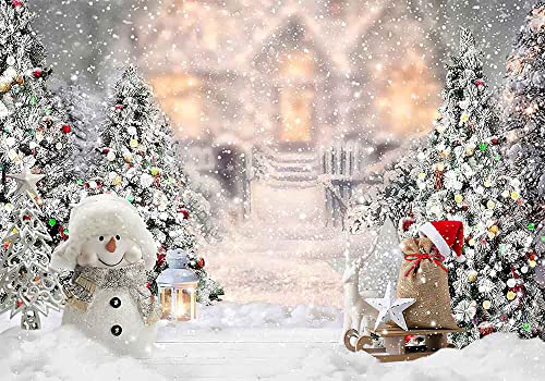 Winter Wonderland Backdrop, Christmas Forest Pine Tree Landscapes Snowflake Family Picture Vinyl Photography Background 7x5ft Snow Backdrop