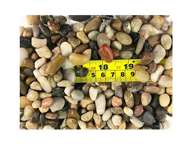 RG() 2 LB Polished Mixed Color Stones Small Decorative River Rock Stones