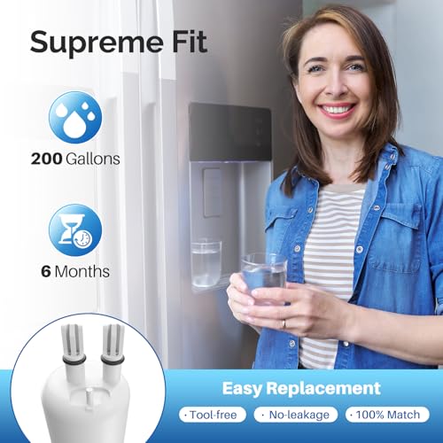 Image of ICEPURE EDR1RXD1 Water Filter Replacement for Everydrop Filter 1,1 PACK
