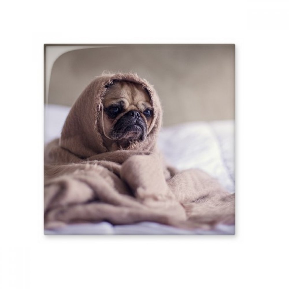 Carrelage bouledogue brillant pour décoration murale de cuisine et salle de bain S