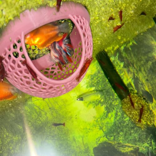 Image of Aquarium Floating Betta Fish Skins, Betta or Shrimp Feeder, Cave and Hammock, Small Fish Feeding Rings, Aquarium Hiding Feeding Decorative Accessories (Light Pink)