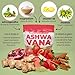 ASHWAVANA Zen Relax Drink Mix - Nootropic, Adaptogen-Infused Ashwagandha Beverage - Rhodiola, Magnesium, L-Theanine - Restore & Unwind - Alcohol Alternative - Strawberry Flavor - 60 Count (Pack of 2)
