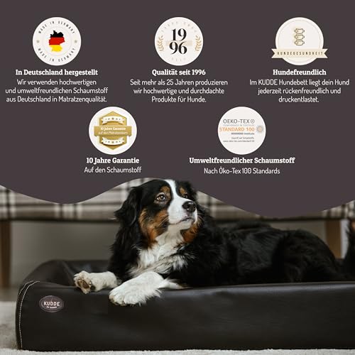 SABRO KUDDE Orthopädisches Hundebett – Martin Rütter – Hochwertiges Kunstleder – Waschbar & Wasserabweisend – Ergonomisch – Premium Haustierzubehör für Mittelgrosse, Grosse Hunde L in Schwarz