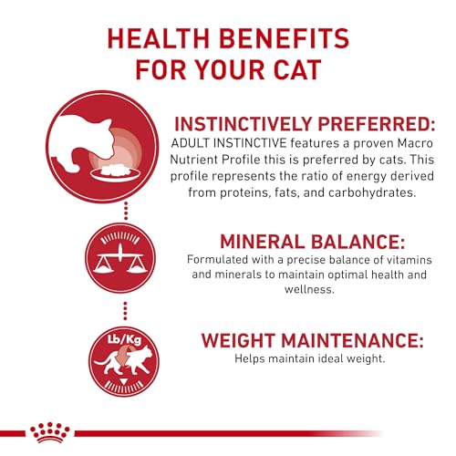 Royal Canin Feline Health Nutrition Adult Instinctive Adult Chunks in Gravy Cat Food, 3 oz (Pack of 12)
