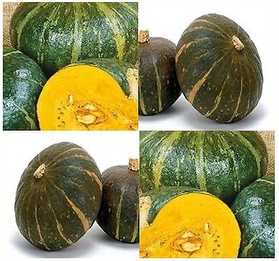 (10) semi Burgess Buttercup Squash
