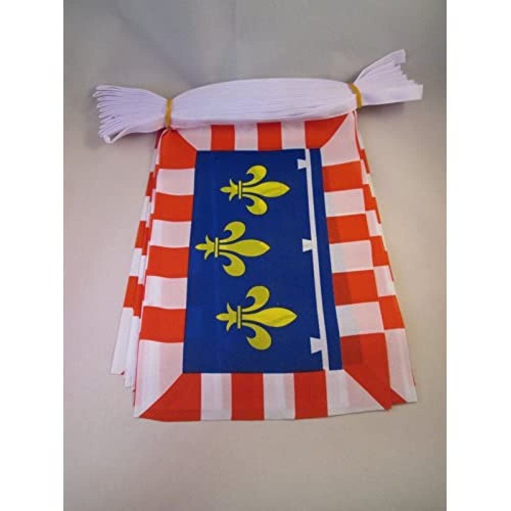 AZ FLAG Centre Bunting 20 ft 20 flags Light Polyester