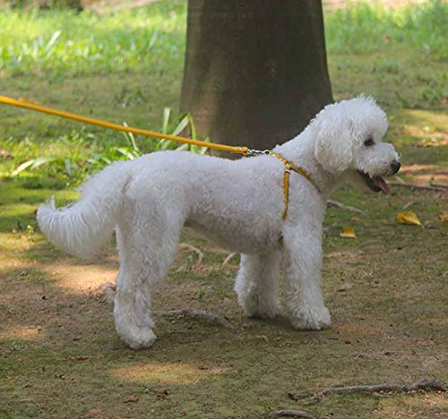 Hundegeschirr Kleine Hunde Leder Verstellbar feiling Hundegeschirr Welpen Brustgeschirr Haustier Ausbruchsicher Katzengeschirr Ledergeschirr Weichem mit 1.3m Hundeleine Leder (Braun)