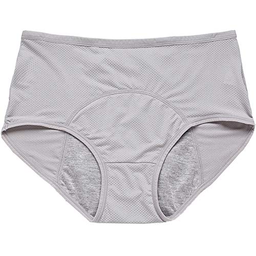 Hellove Mesh Period Panties Menstrual Incontinence Leak Proof Protective Briefs (H-4-5-1, Medium) #TOP4