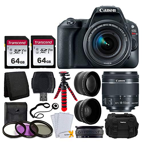 Canon EOS Rebel SL2 Digital SLR Camera + EF-S 18-55mm f/4-5.6 IS STM