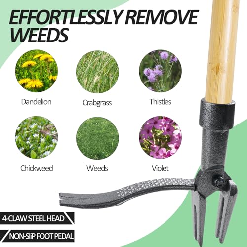 image for BellaJoyz Weeder - Stand Up Weed Puller Tool with Long Handle - Real B