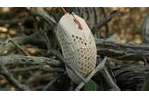 Finalmouse Ultralight 2 - Cape Town