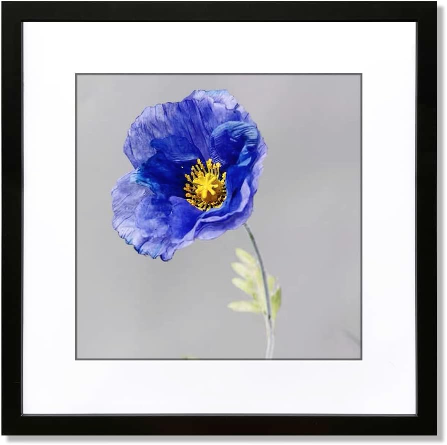 VNVNK 14x14 Frame Black, Perfect for 14x14 Inch Picture without Mat or 10x10 Inch Picture with Mat, Home Wall Decor Picture Frame-1 PCS 14x14 Black