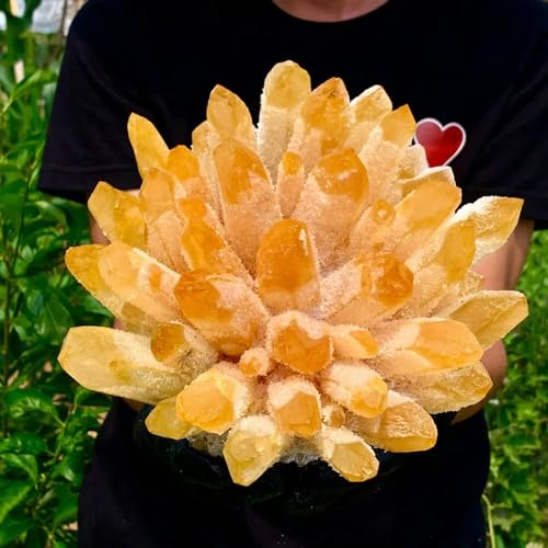 Cuarzo fantasma amarillo exclusivo de coleccion de 600g 6
