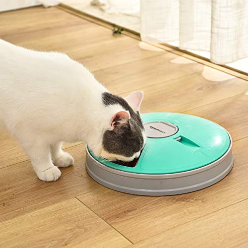 Image of AmazonBasics Electronic Timed Pet Feeder, Teal