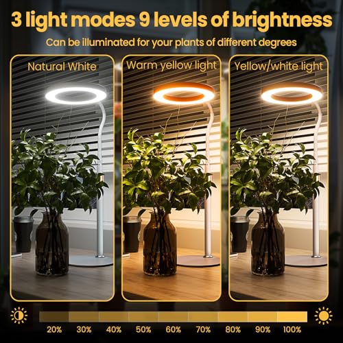 bseah LED の植物ライト light huan 02 の商品画像 5