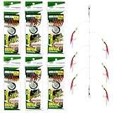 SHUOHONG 36 Stück Makrelenvorfach, Makrelenfeder-Rigs mit Leuchtenden Perlen, Angelhaken Set, Leuchtende Angel-Rigs zum Angeln, Angelzubehör für Makrelen, Seelachse, Hering, Barsch