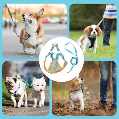 TEOZBLU Hundegeschirr, Hundegeschirr mit Griff Leicht zu Kontrollierendem Hundegeschirr Verstellbar ohne Würgen Hundegeschirr, für Spaziergänge und Hunderennen