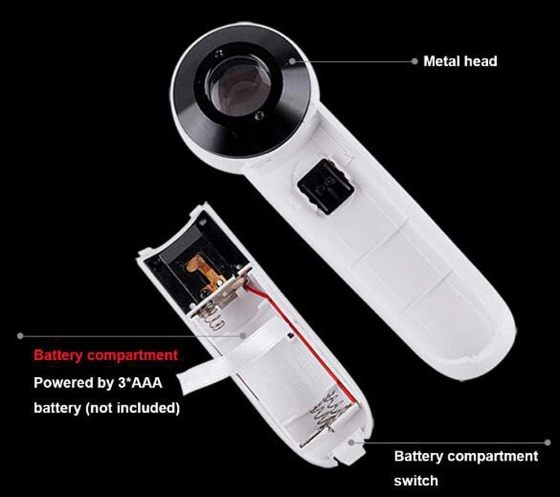Lente d'ingrandimento, Lente d'ingrandimento a LED, Lente d'ingrandimento illuminata 40x Palmare con 2 luci a LED Lente d'ingrandimento Lente d'ingrandimento Lente in doppio vetro per anzian