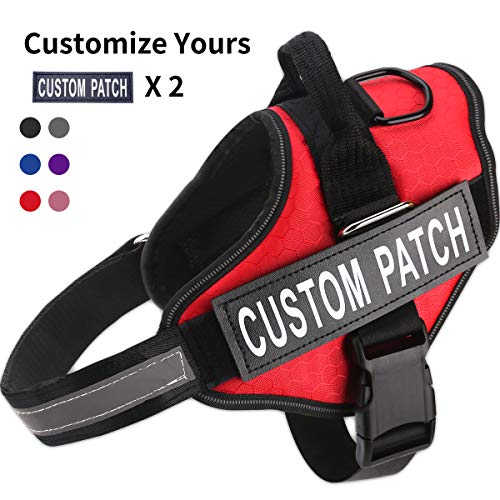 Personalized Dog Harness, Custom Dog Vest with Name and Number, No-Pull Adjustable Outdoor