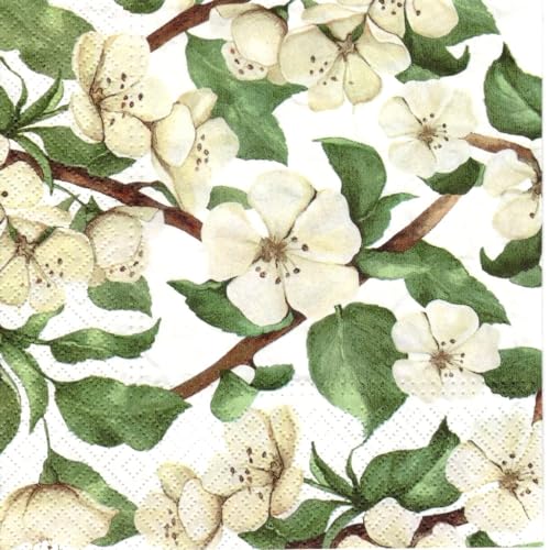 Servilletas de Papel Decorativas 13 Pulgadas Pack 20 miniatura 1